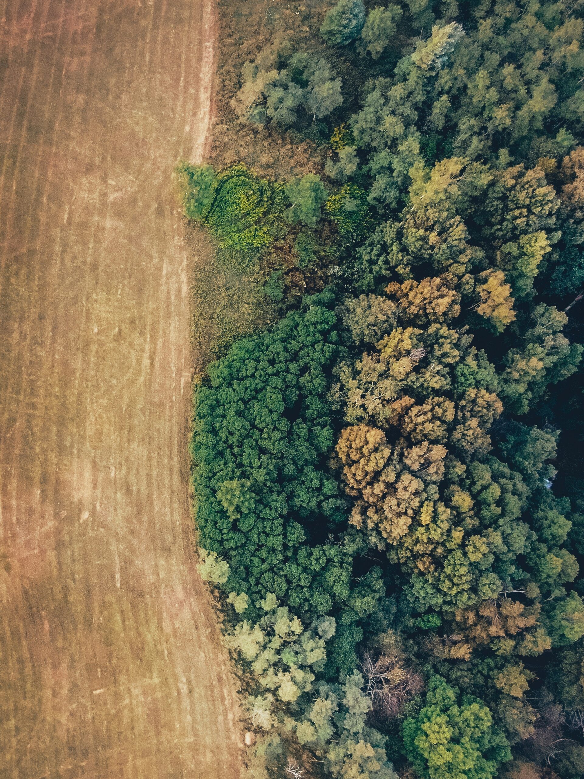alex-diaz-auYVNdMzqRE-unsplash