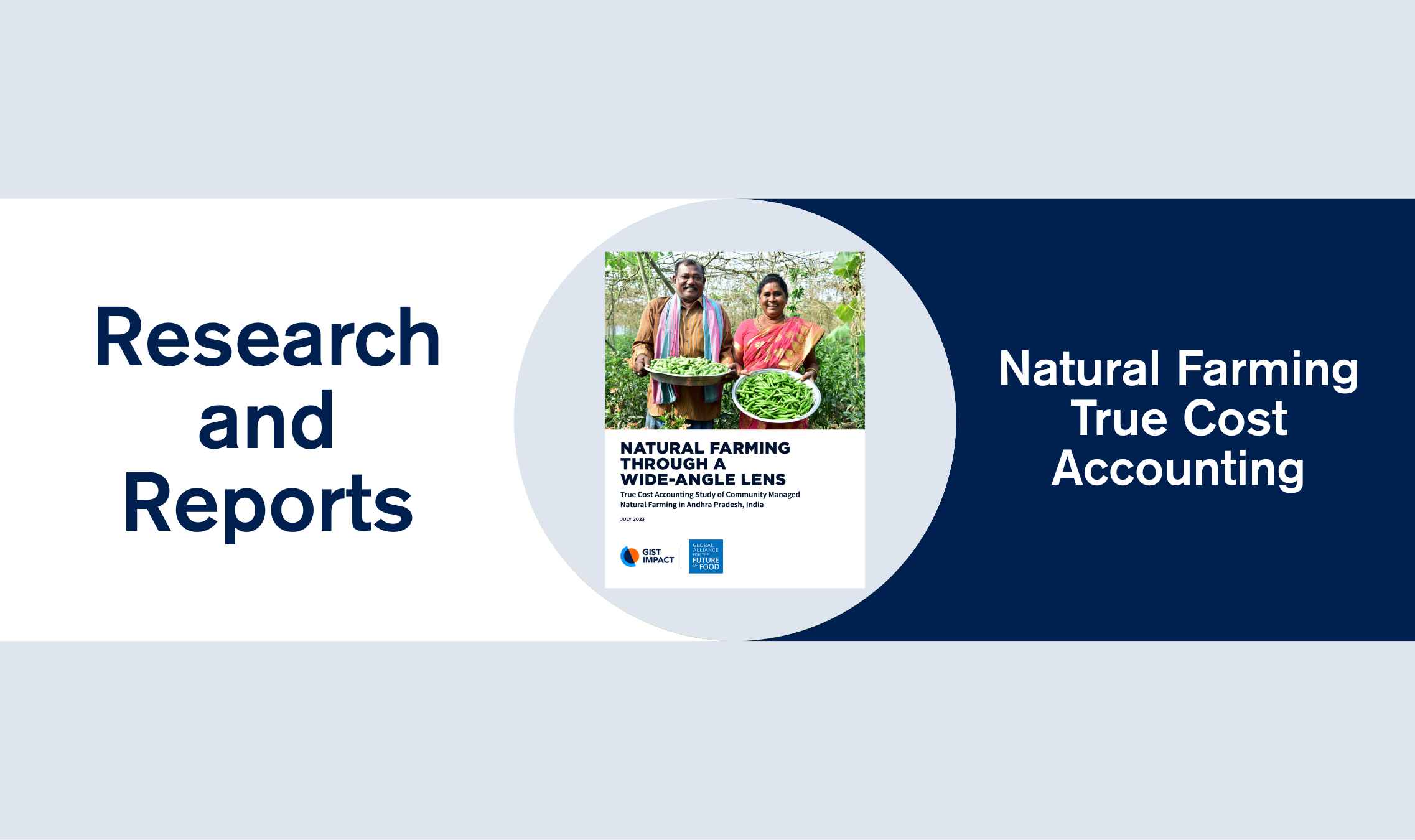 Research and Reports Template (18)