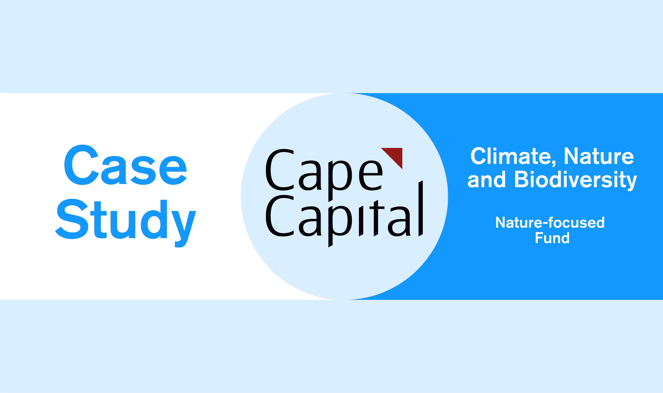Case Studies Template (30)