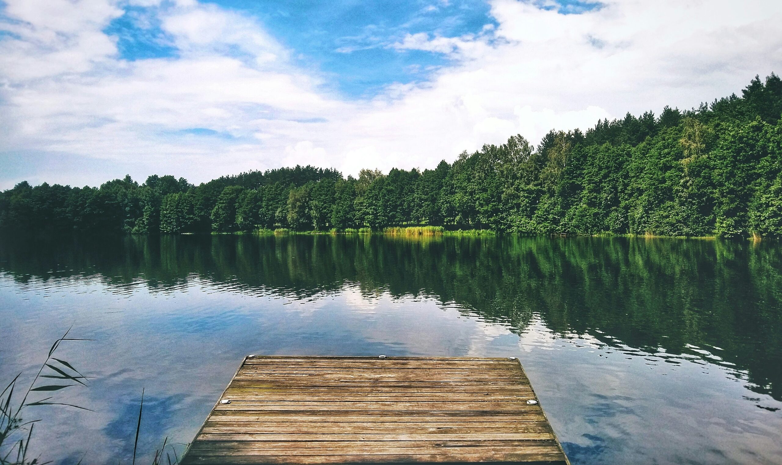 velodi-tsaguria-xGltPaX1FeY-unsplash