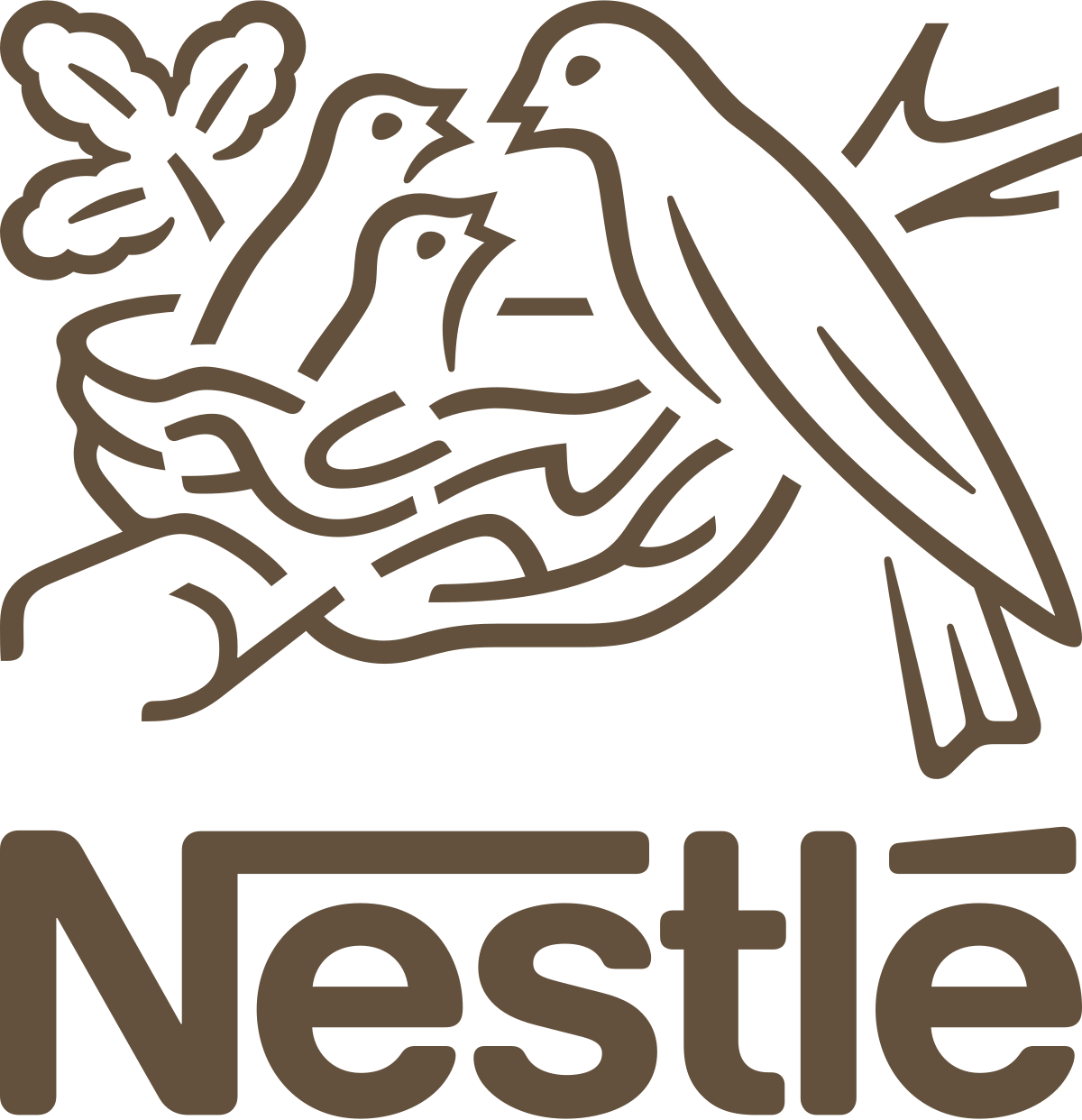 Gabriela Guarda Fisher, Nestlé
