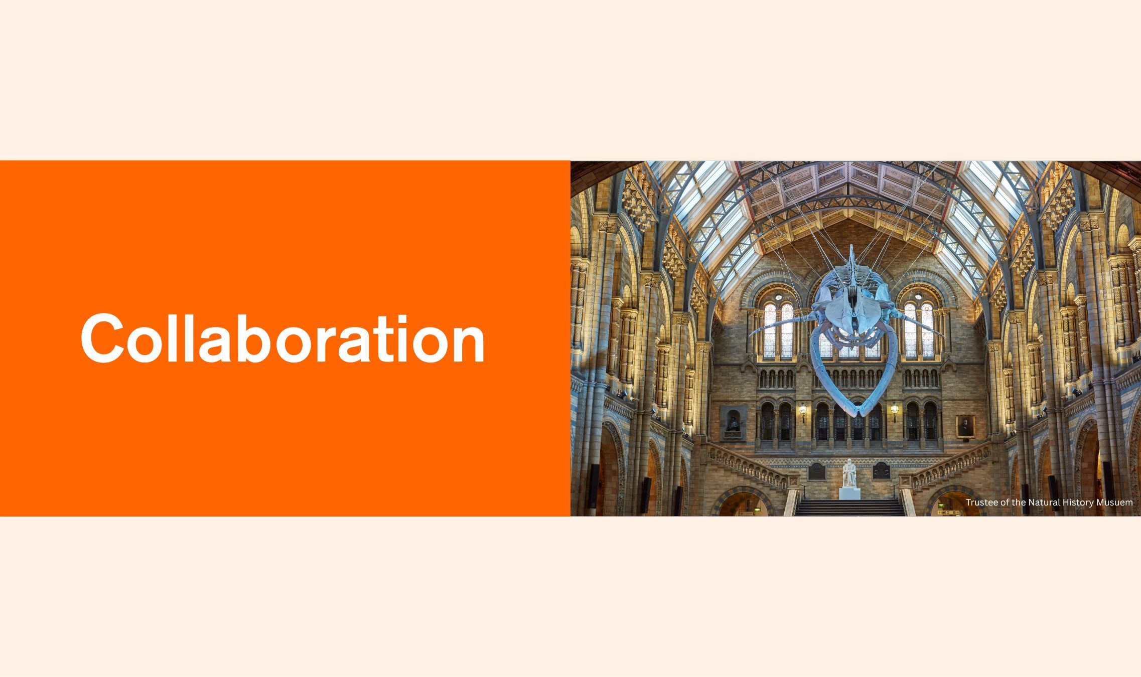 NHM Collaboration (1)