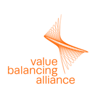 VBA_Orange.png