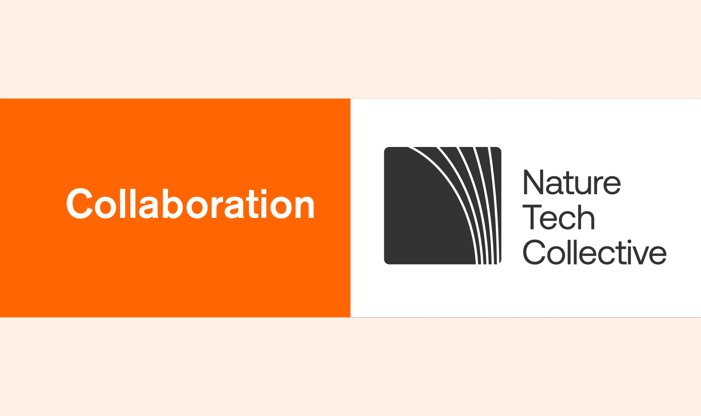 NTC Banner