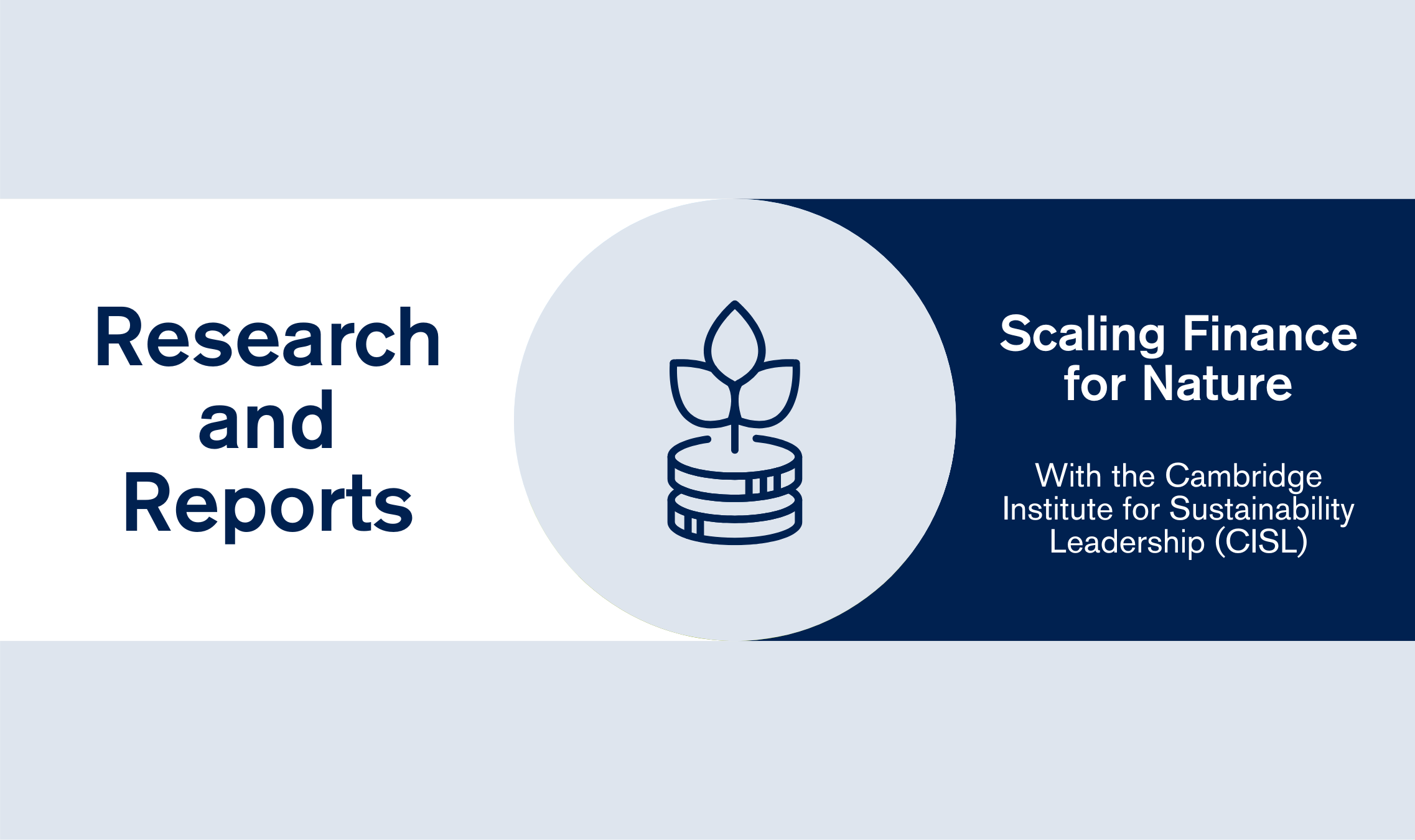 Research and Reports