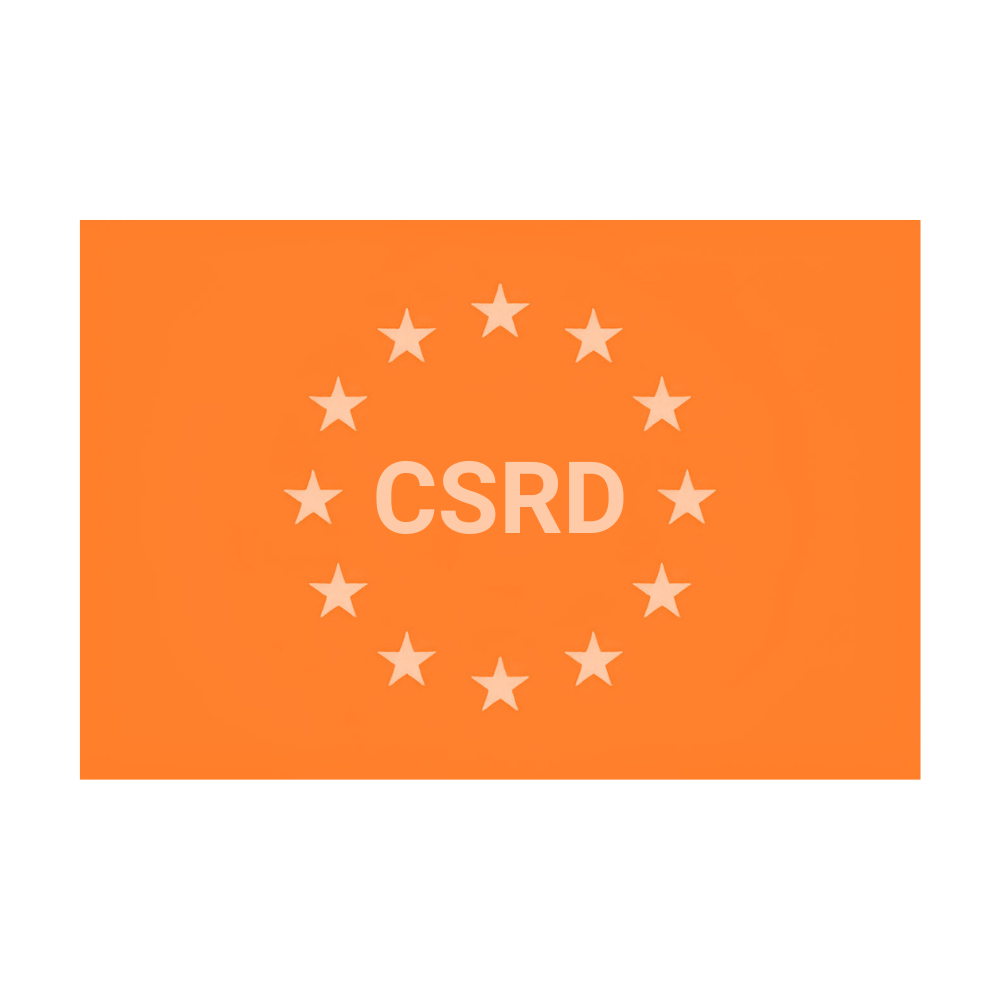 CSRD (11)