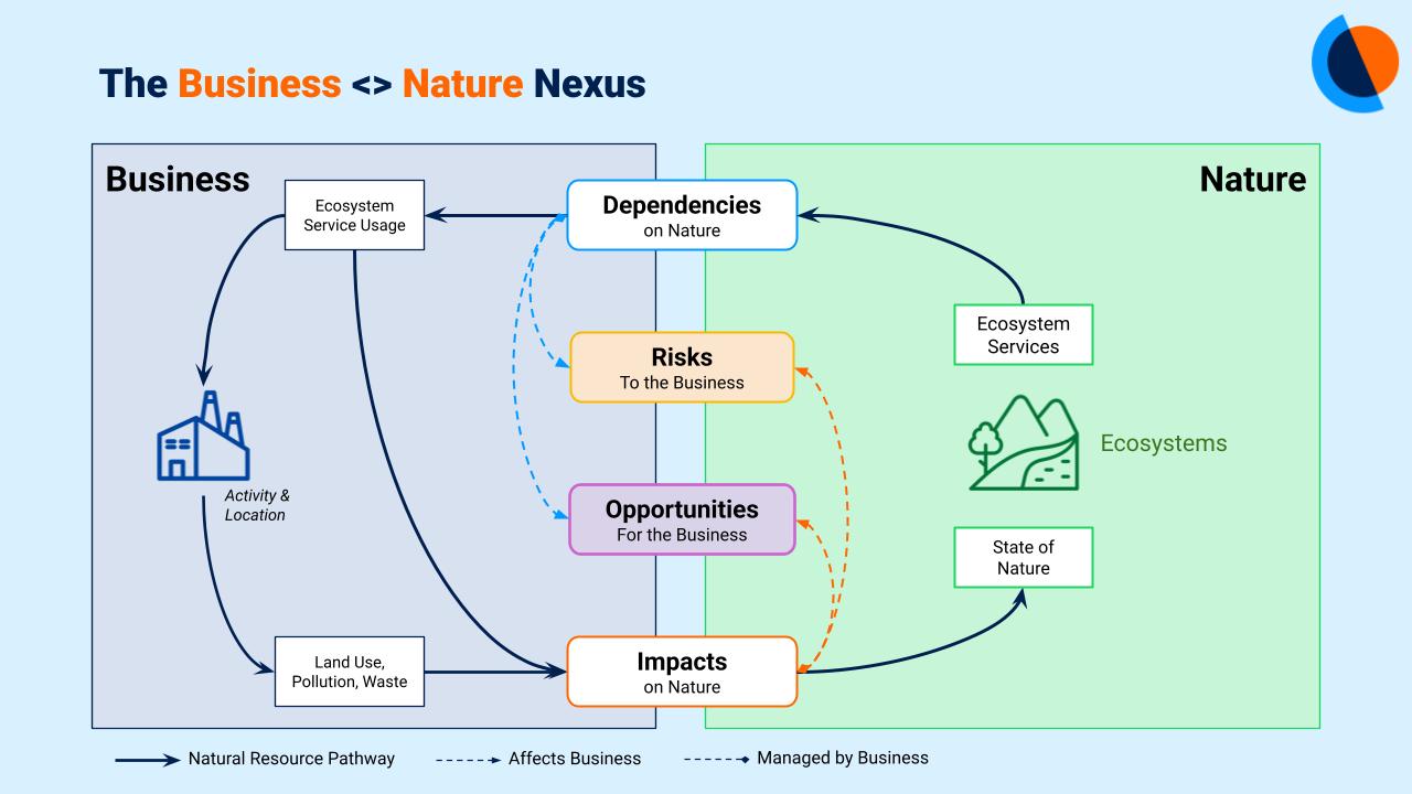 Nature & Biodiversity: Ask the Expert - Dependencies - GIST Impact